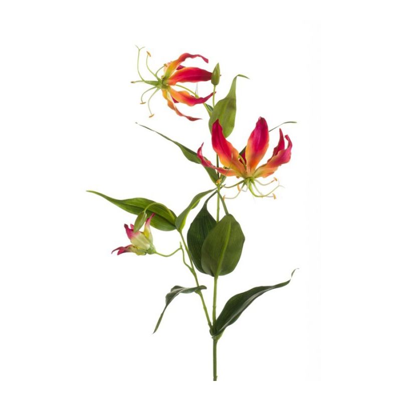 Gloriosa spray beauty/yellow 75cm