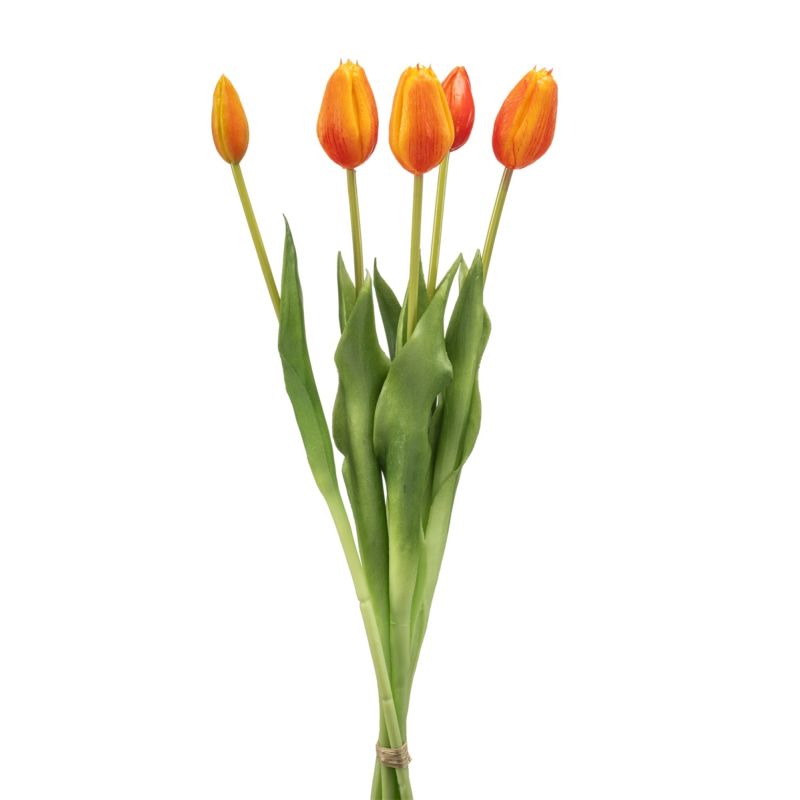 Tulip bundle x5 orange 43cm