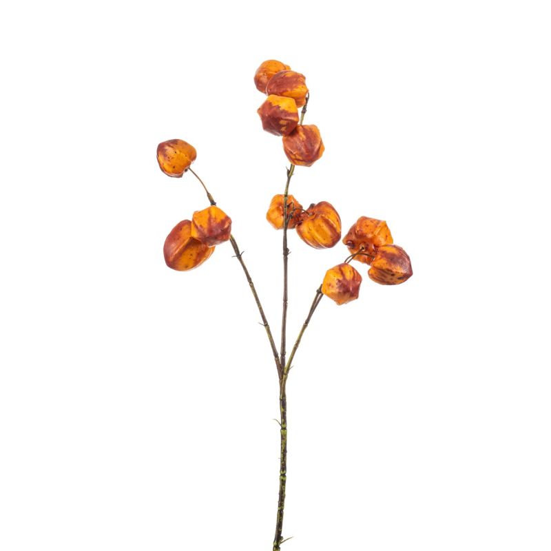 Physalis spray x3 orange/red 55cm