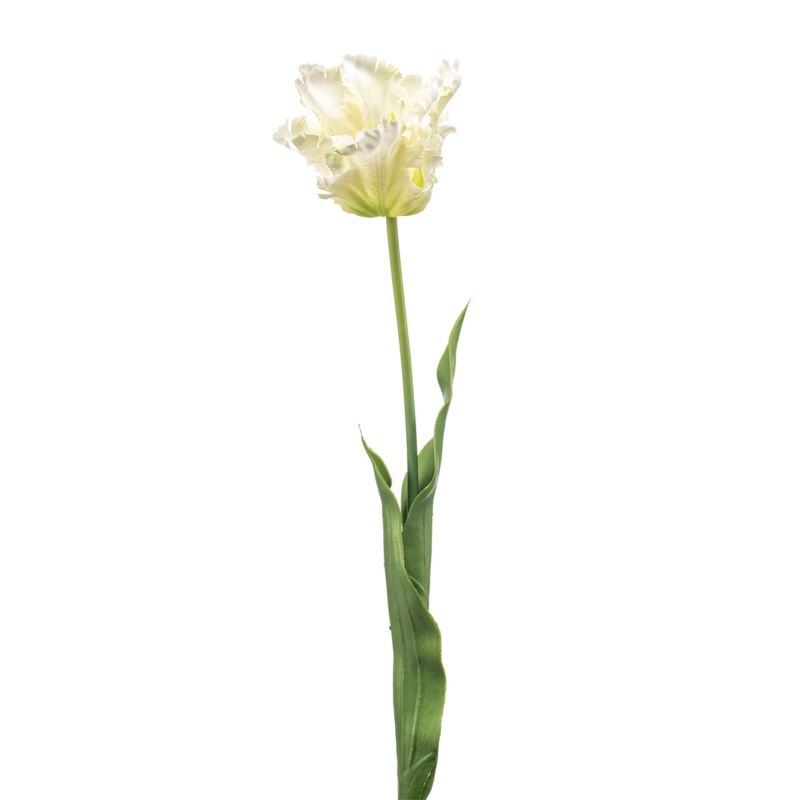 Tulip parrot spray white/green 68cm