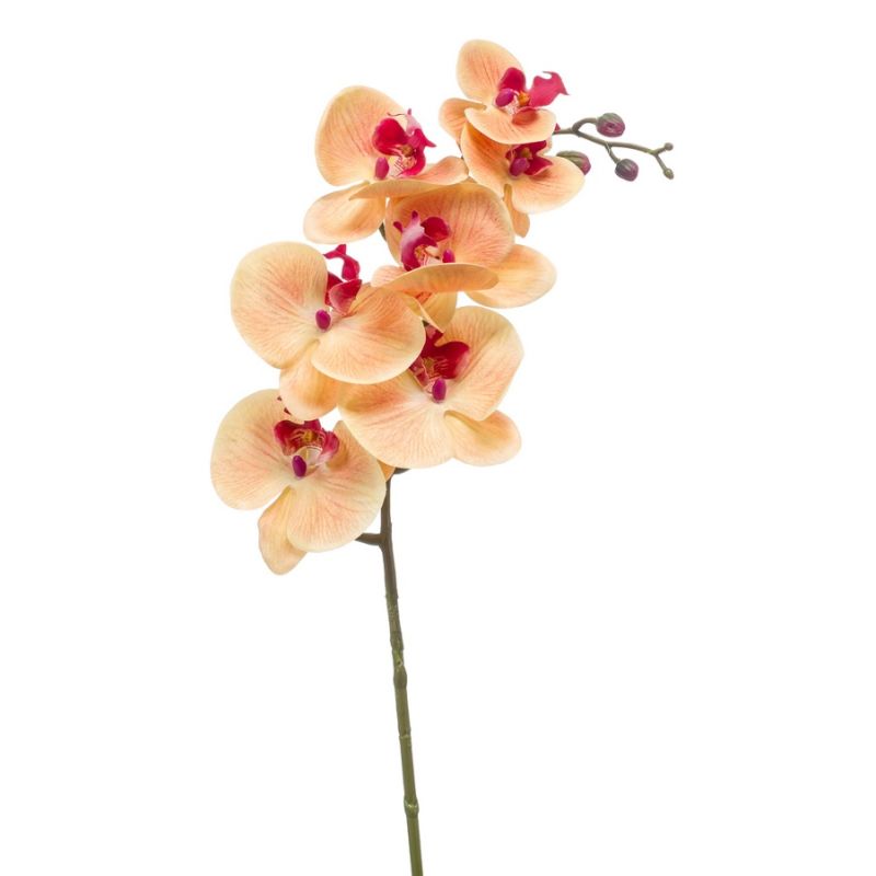 Phalaenopsis spray RT peach/beauty 83cm