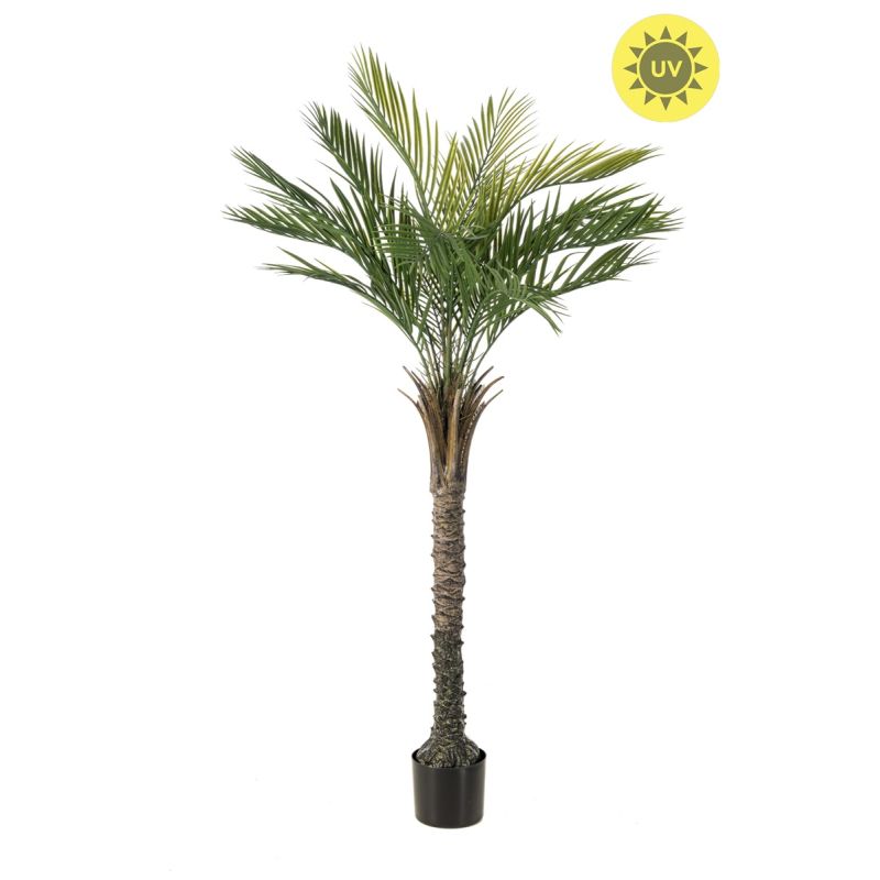 Palm UV 150cm (knock down packing)