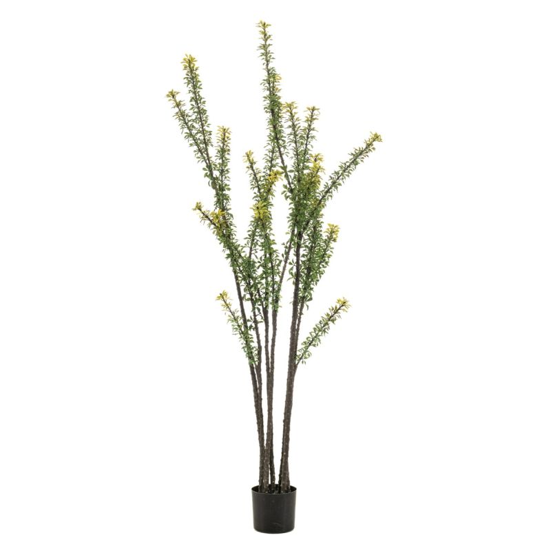 Cactus euphorbia 190cm