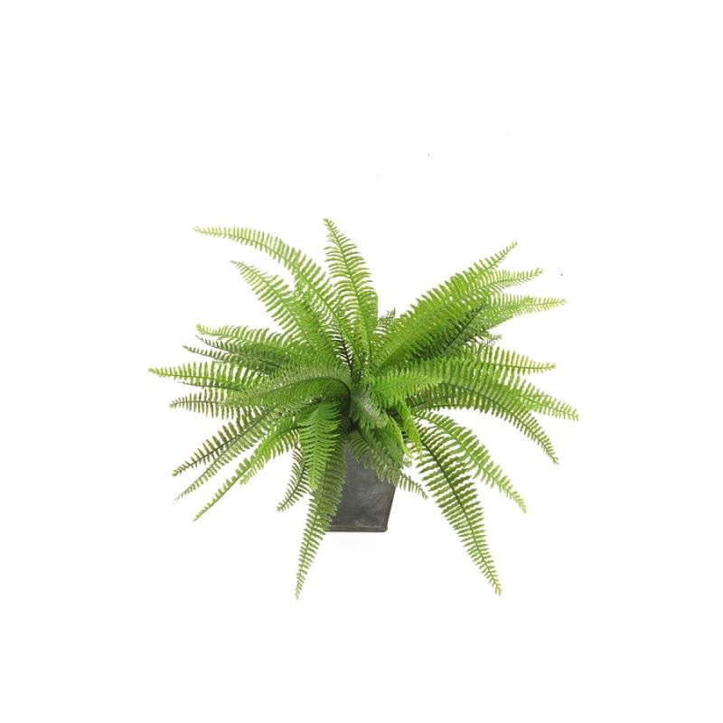 Fern bush 23cm green in zinc pot 10cm