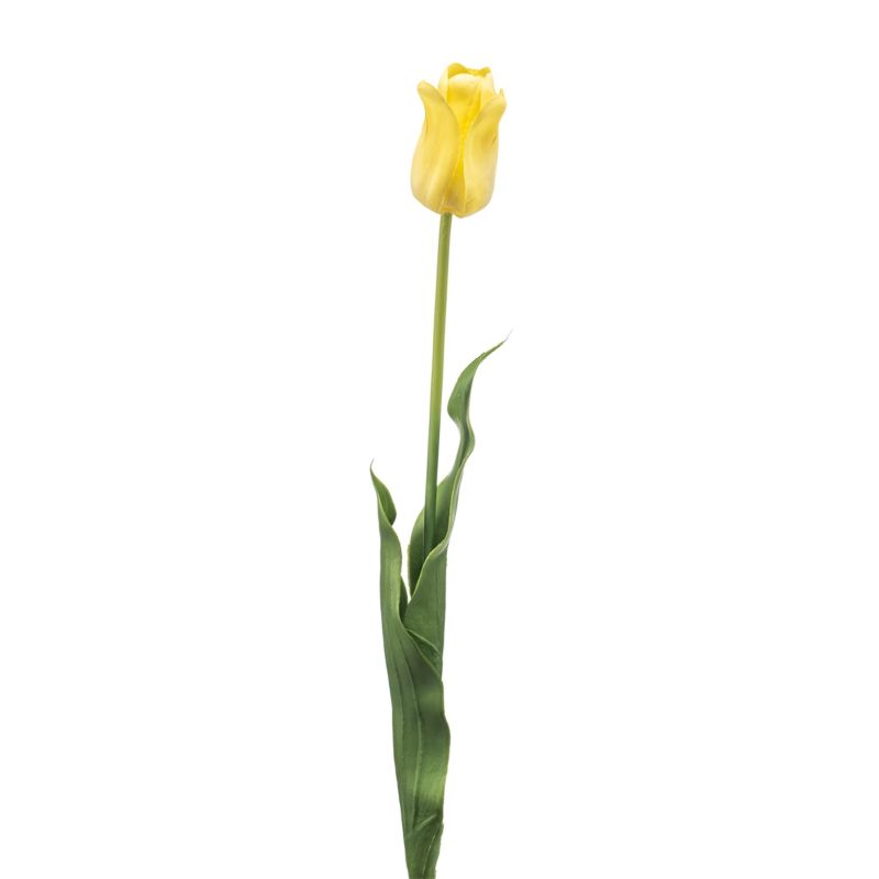 Tulip france spray lt yellow 66cm