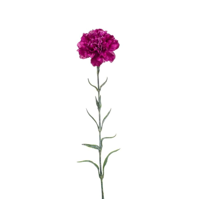 Dianthus spray purple 67cm