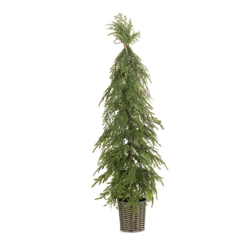 Cedar mix tree in pot 105cm