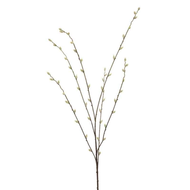 Salix spray cream 110cm