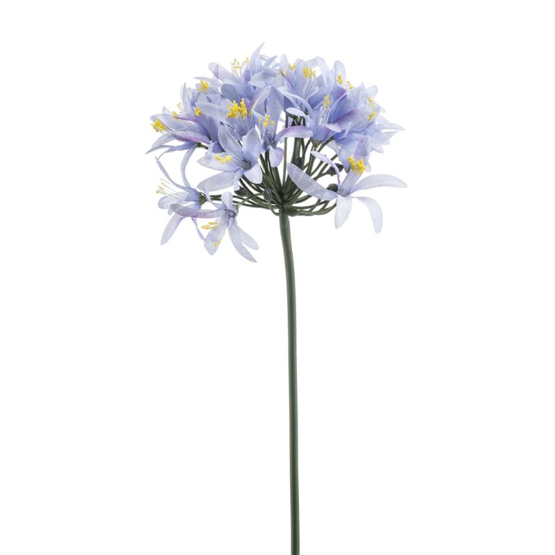 Agapanthus spray blue 80cm