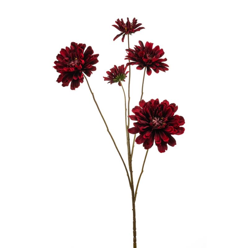 Zinnia spray red 90cm