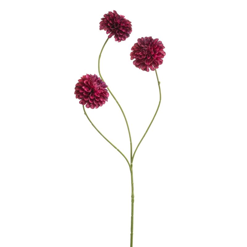 Dahlia pompon mini spray x3 beauty 68cm
