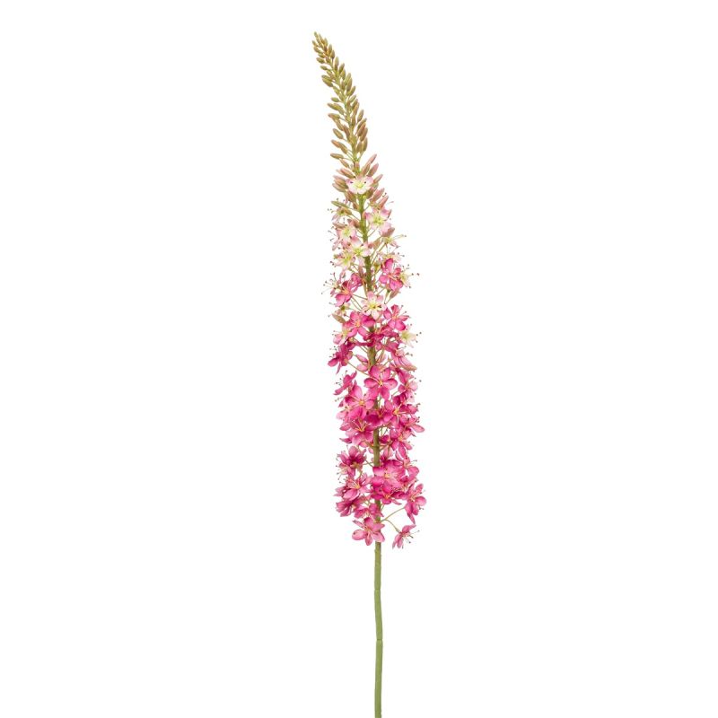 Eremurus spray XL pink 130cm