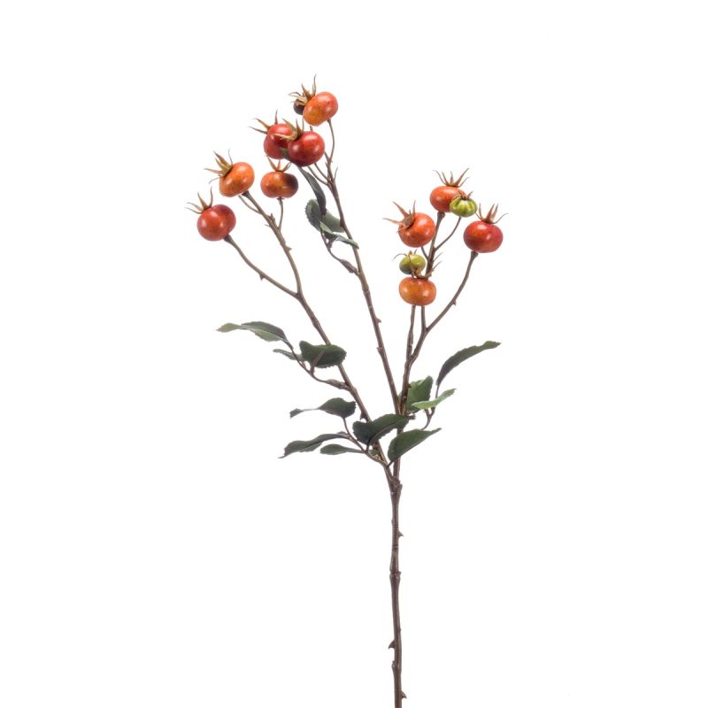 Rosehip spray orange 65cm
