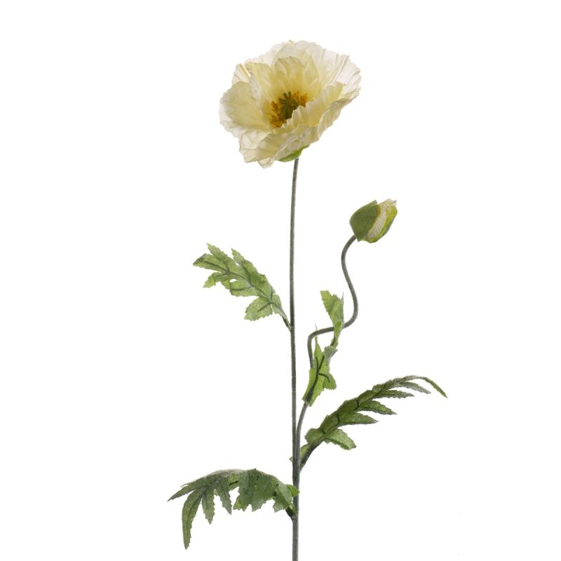 Poppy spray cream 70cm