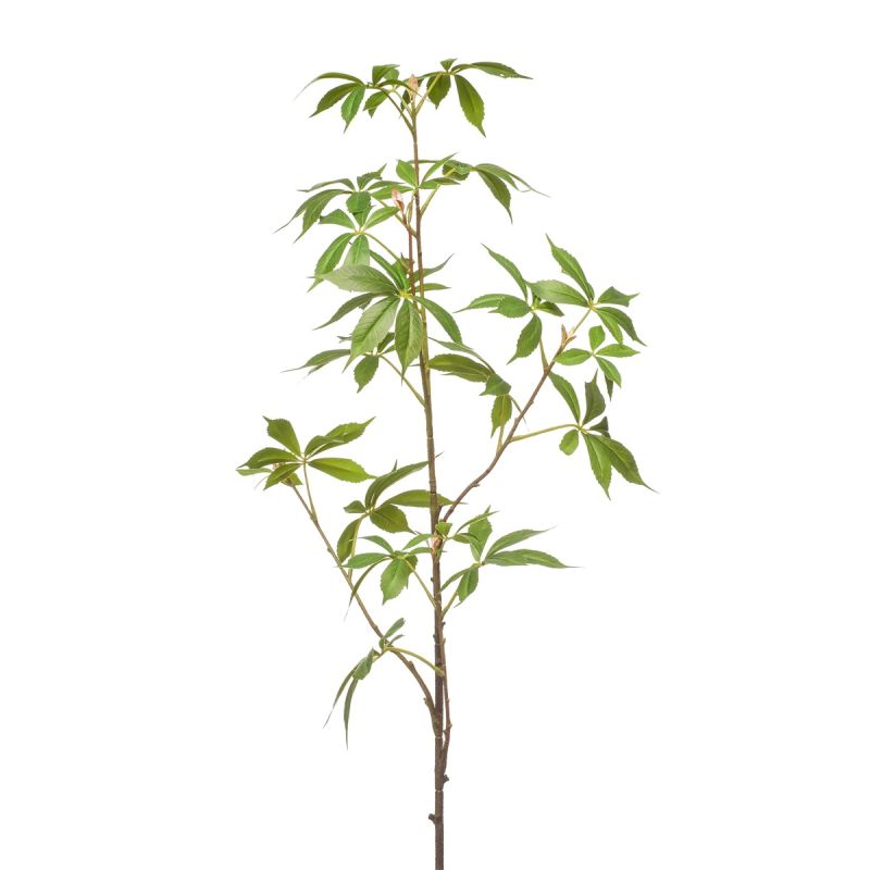 Hennep spray green 105cm