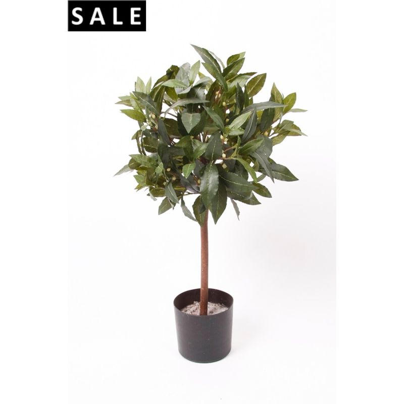 Laurel ball mini 60cm/259lvs