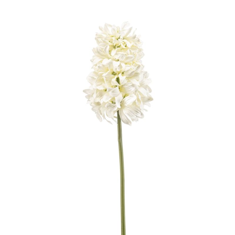 Hyacinthus spray cream 48cm