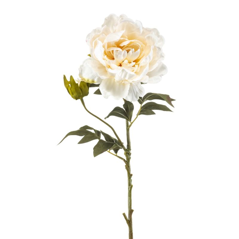 Peony spray cream 75cm