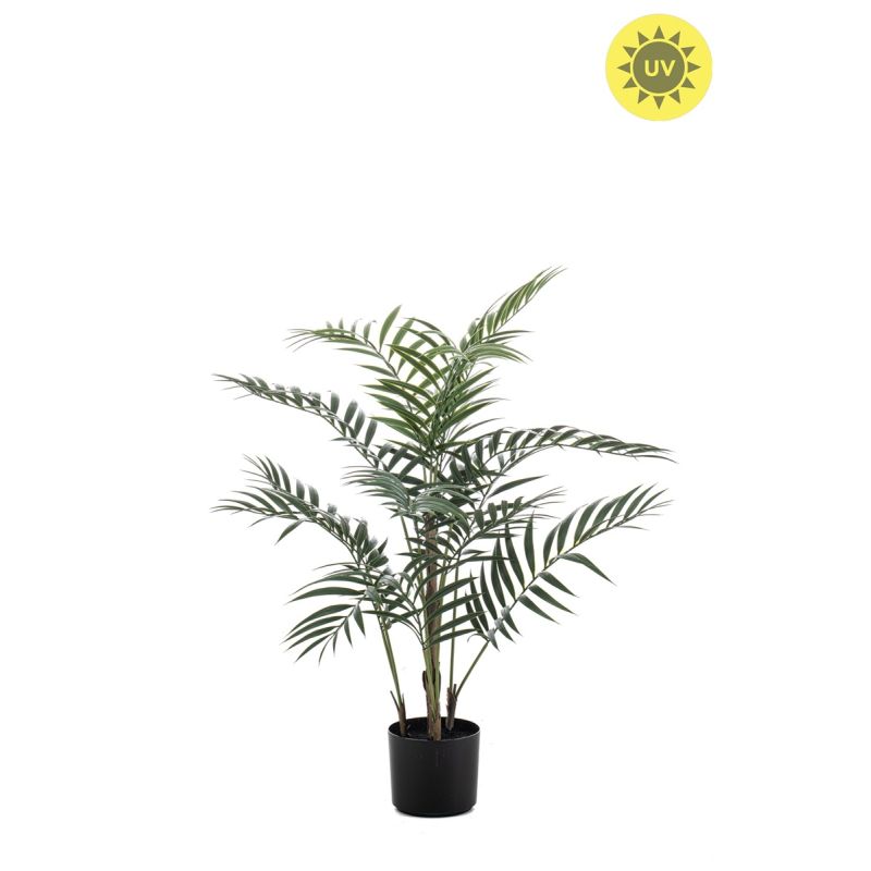 Palm chameadorea UV in pot 90cm