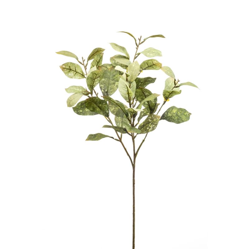 Birch lvs spray green 60cm