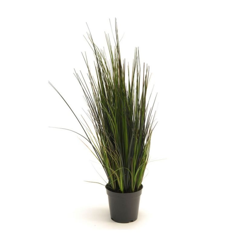 River grass 60cm
