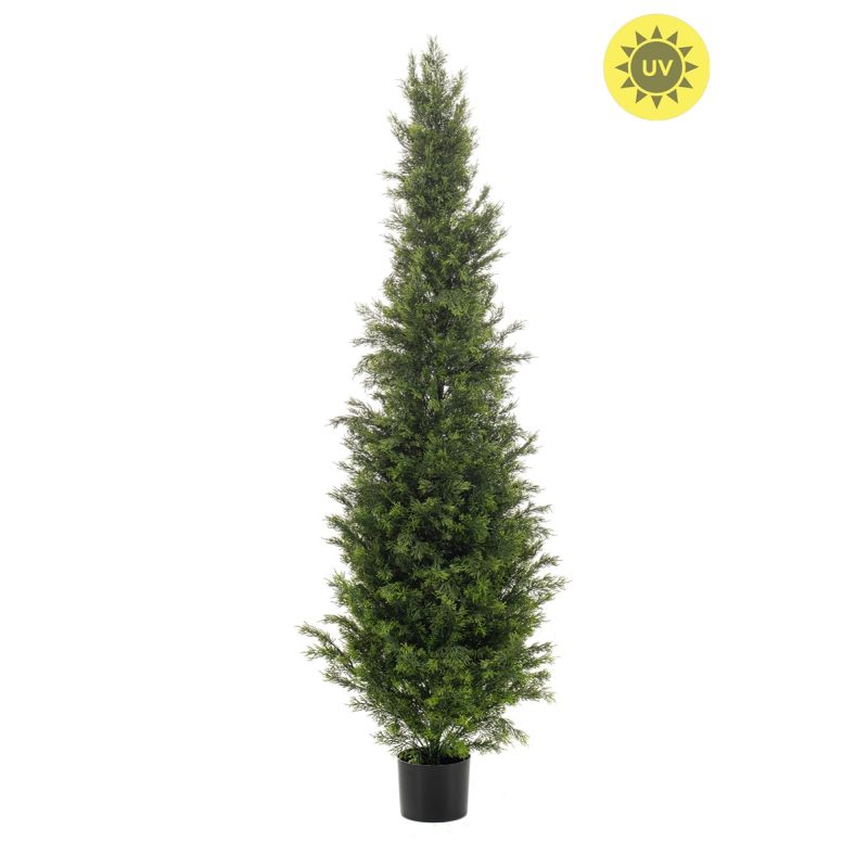 Cedar tree UV 150cm (knock down packing)