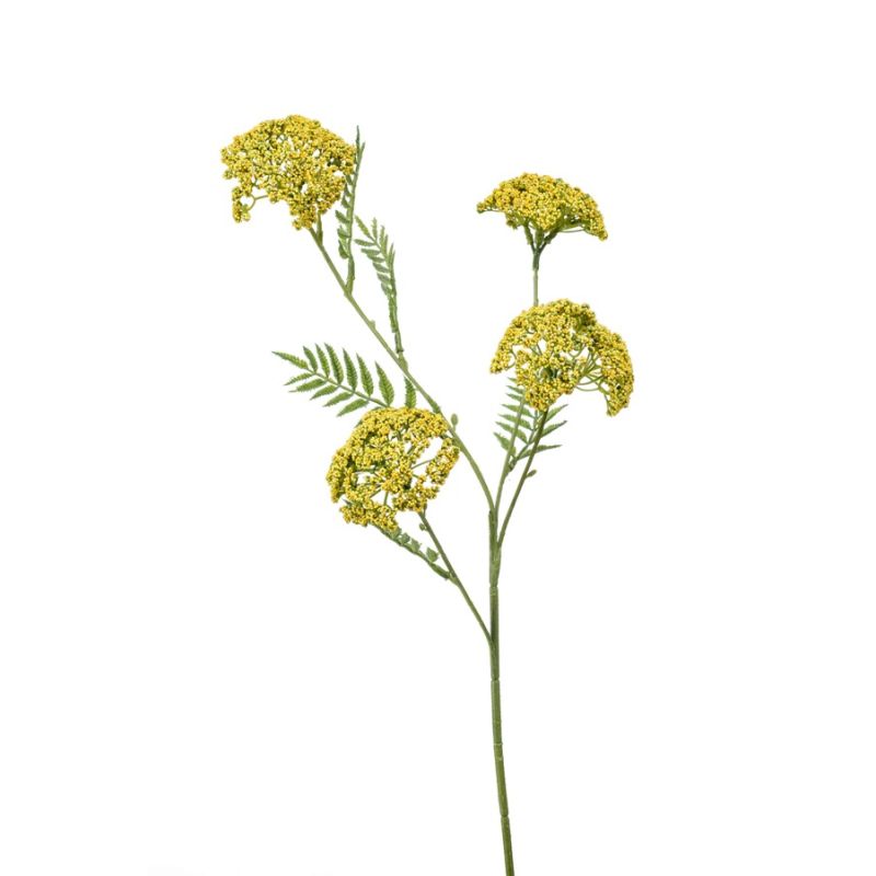 Achillea spray yellow 60cm
