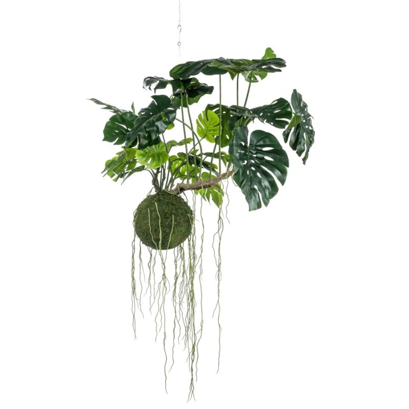 Monstera moss ball hanging 80cm
