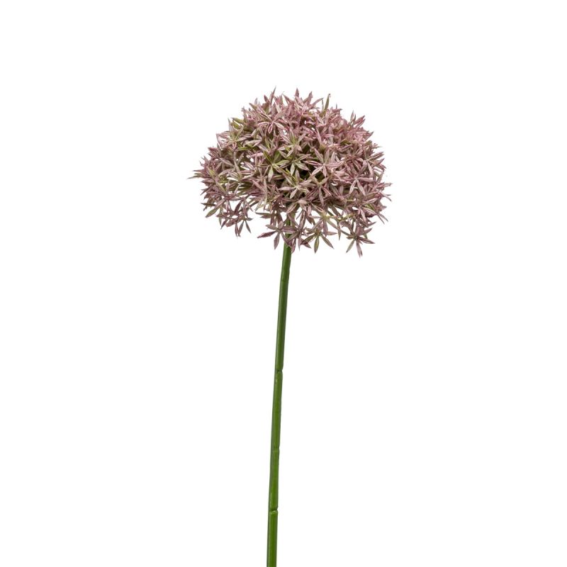 Allium spray lilac 62cm