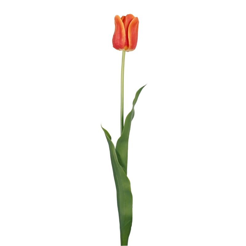 Tulip france spray orange/red 66cm