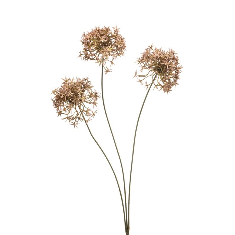 Allium spray old pink 62cm