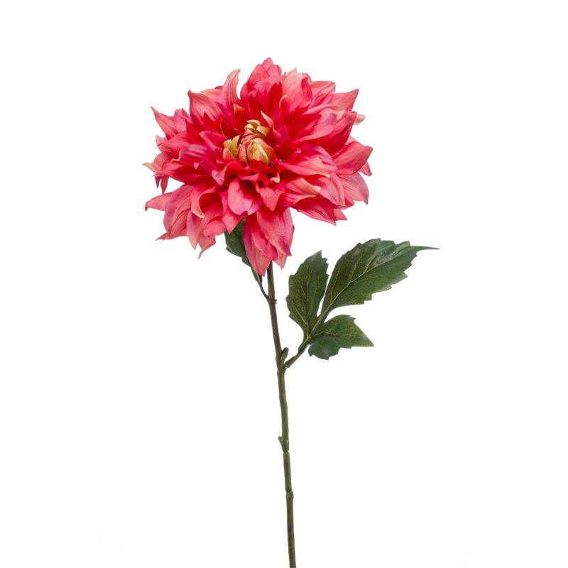 Dahlia spray beauty 60cm