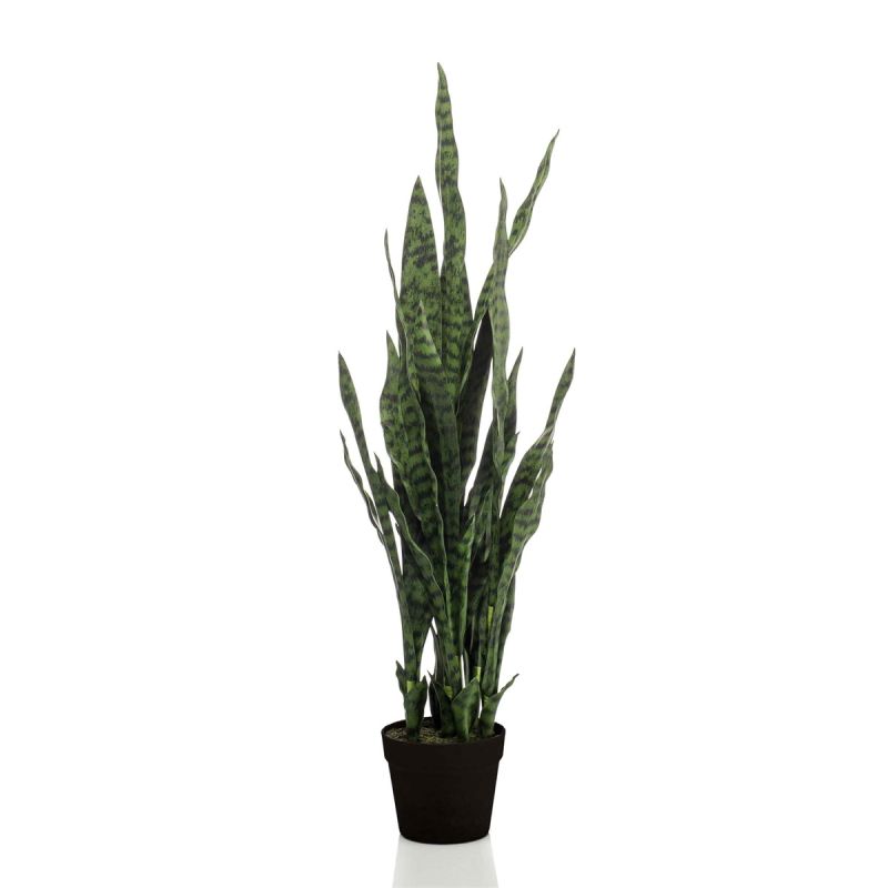 Sansevieria dk green in pot 97cm