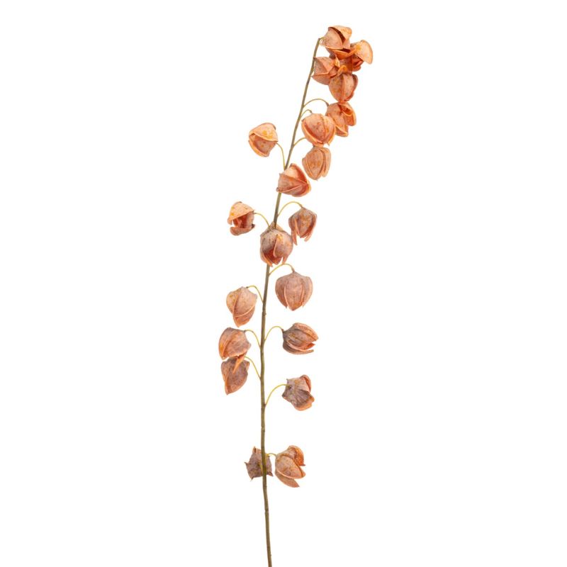 Physalis spray orange 130cm