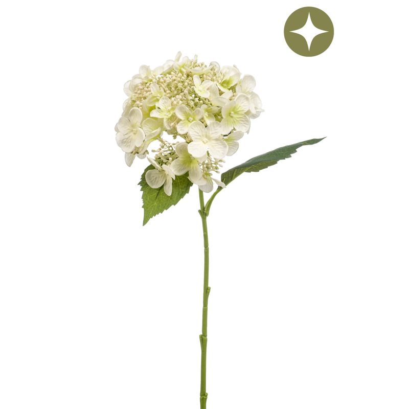 Hydrangea spray white 50cm
