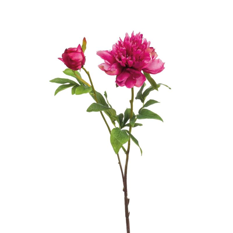 Peony sarah spray beauty 73cm