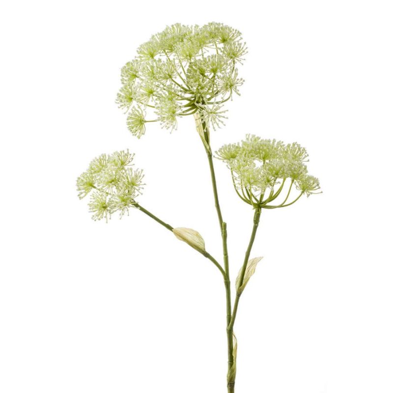 Heracleum spray white 105cm