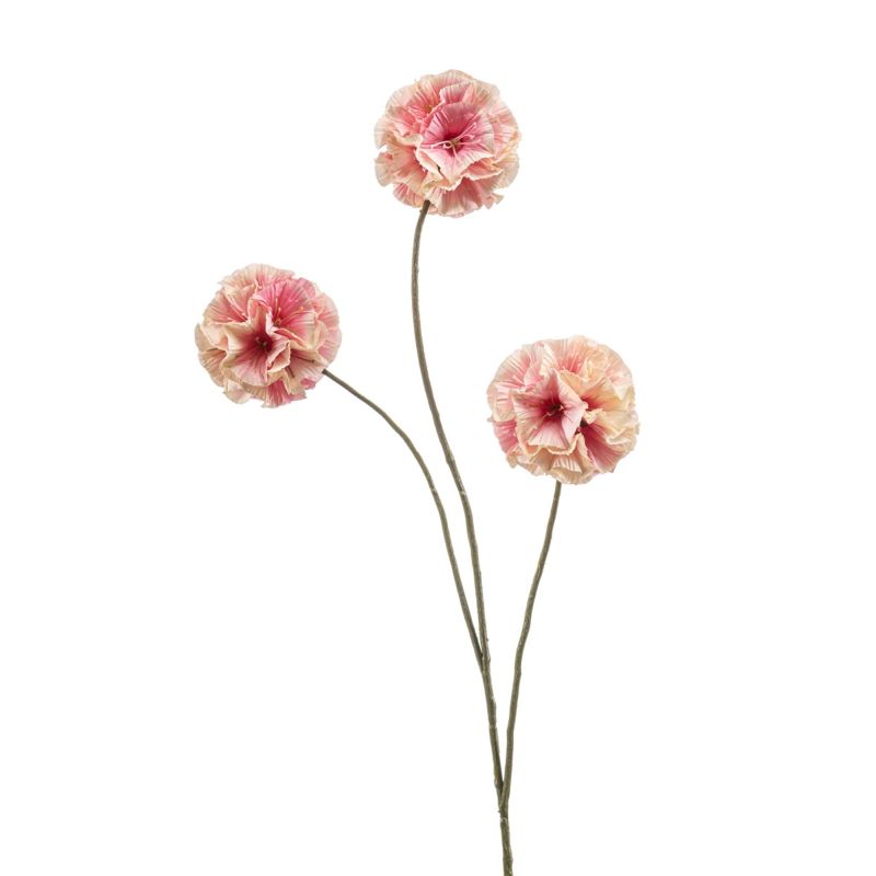 Scabiosa spray peach 74cm
