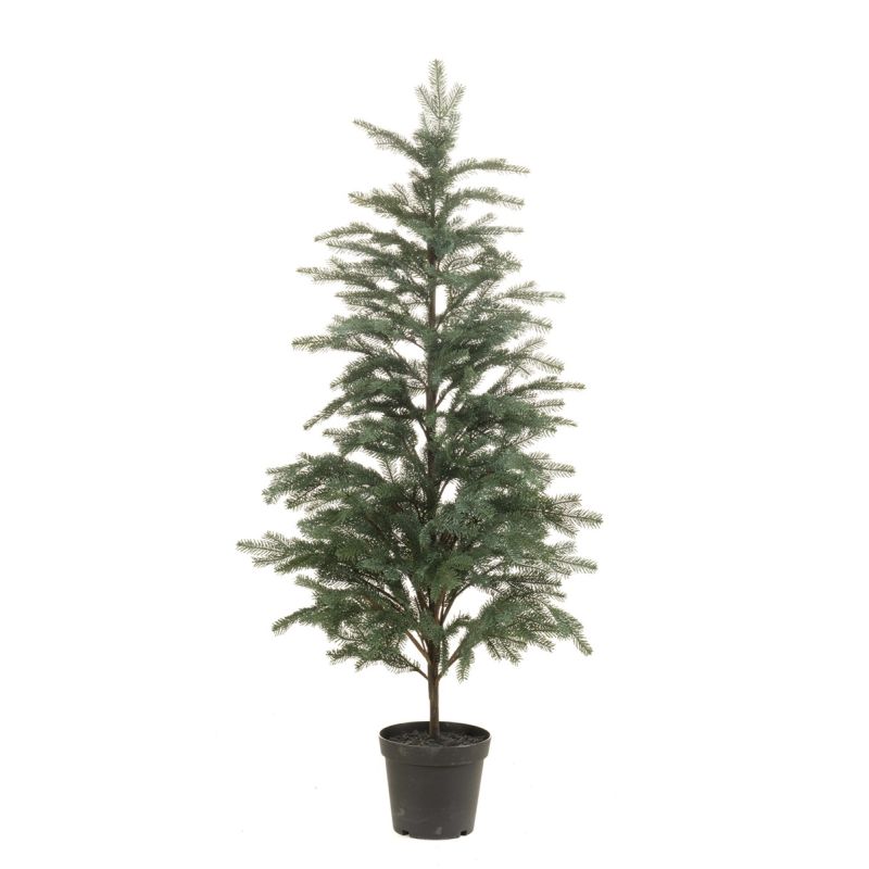Picea tree in pot 150cm (knock down packing)