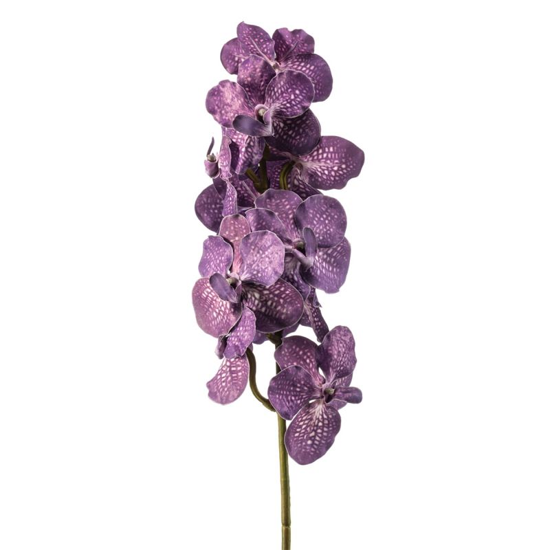 Vanda spray purple 78cm