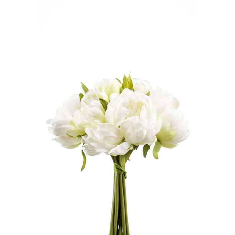 Peony bundle white/green 24cm