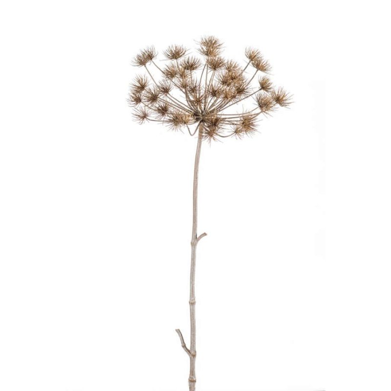 Heracleum stem grey 125cm