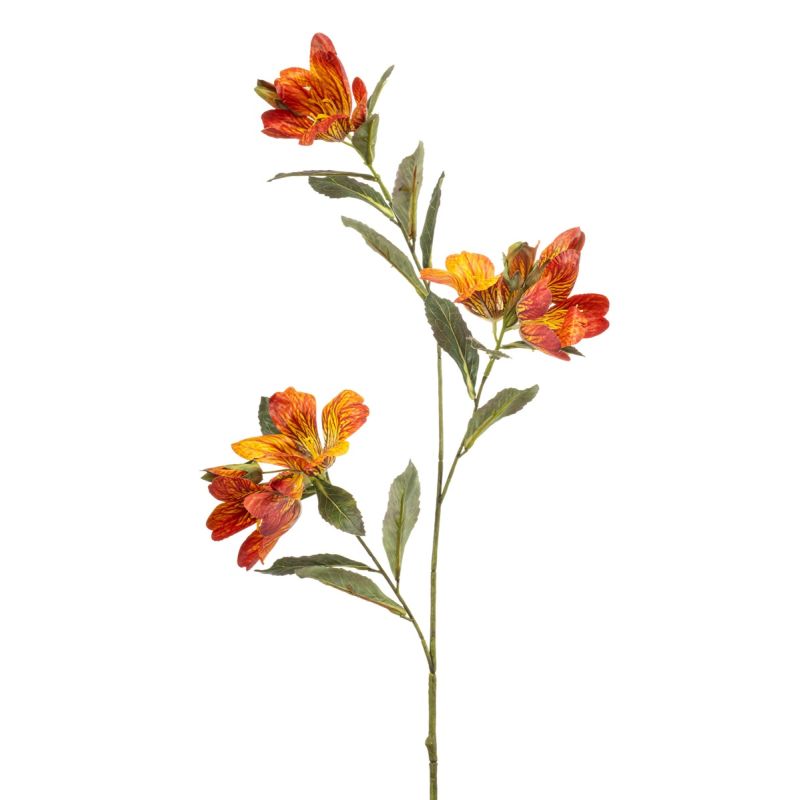 Bauhinia spray orange 90cm