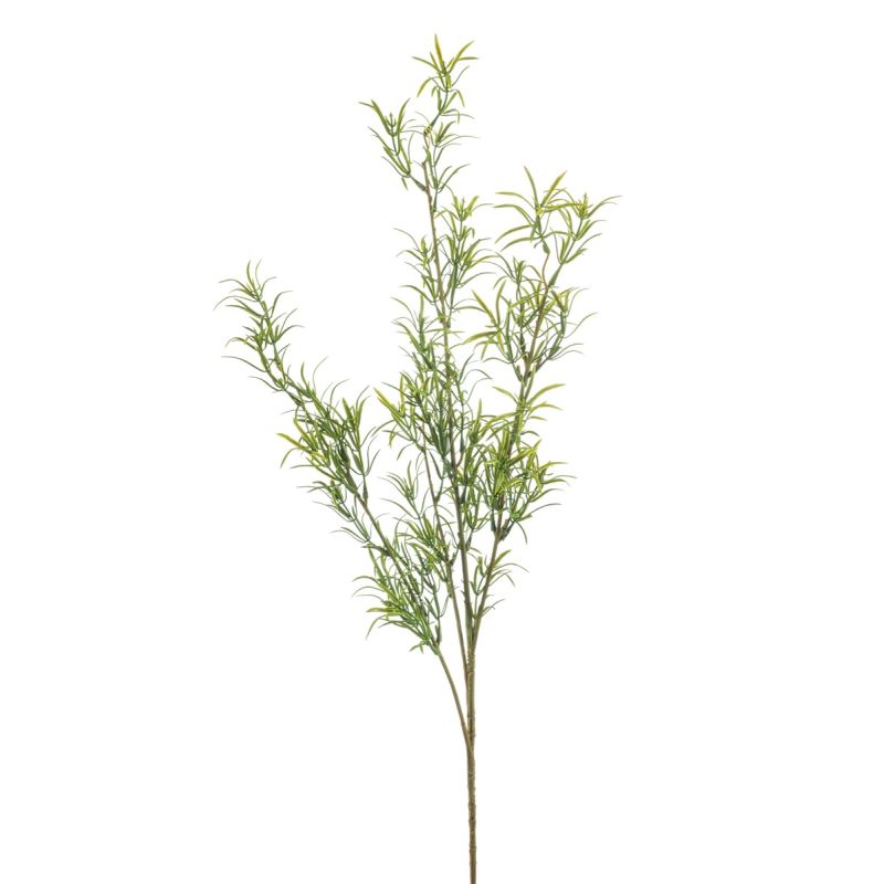 Asparagus spray green 80cm