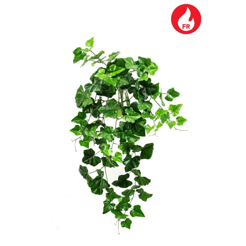 Ivy hanging bush FR green 60cm