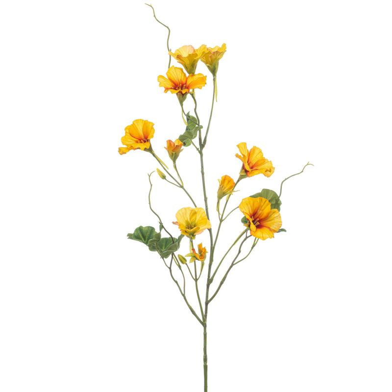 Nasturtium spray yellow 78cm