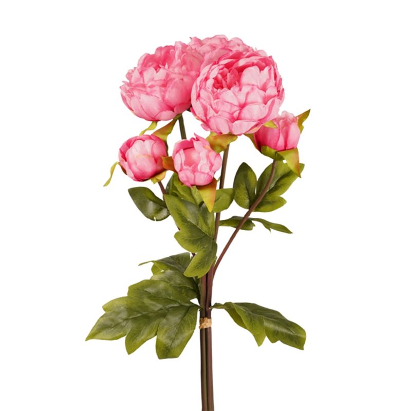 Peony bundle x3 fuchsia 50cm