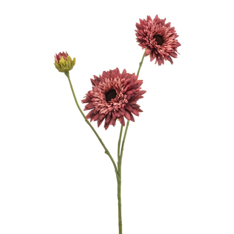 Helianthus spray mauve 70cm