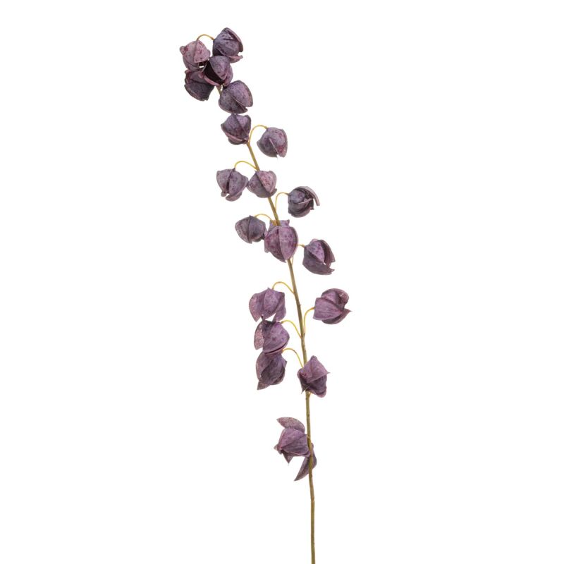 Physalis spray purple 130cm