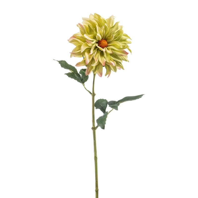 Dahlia spider spray green 56cm